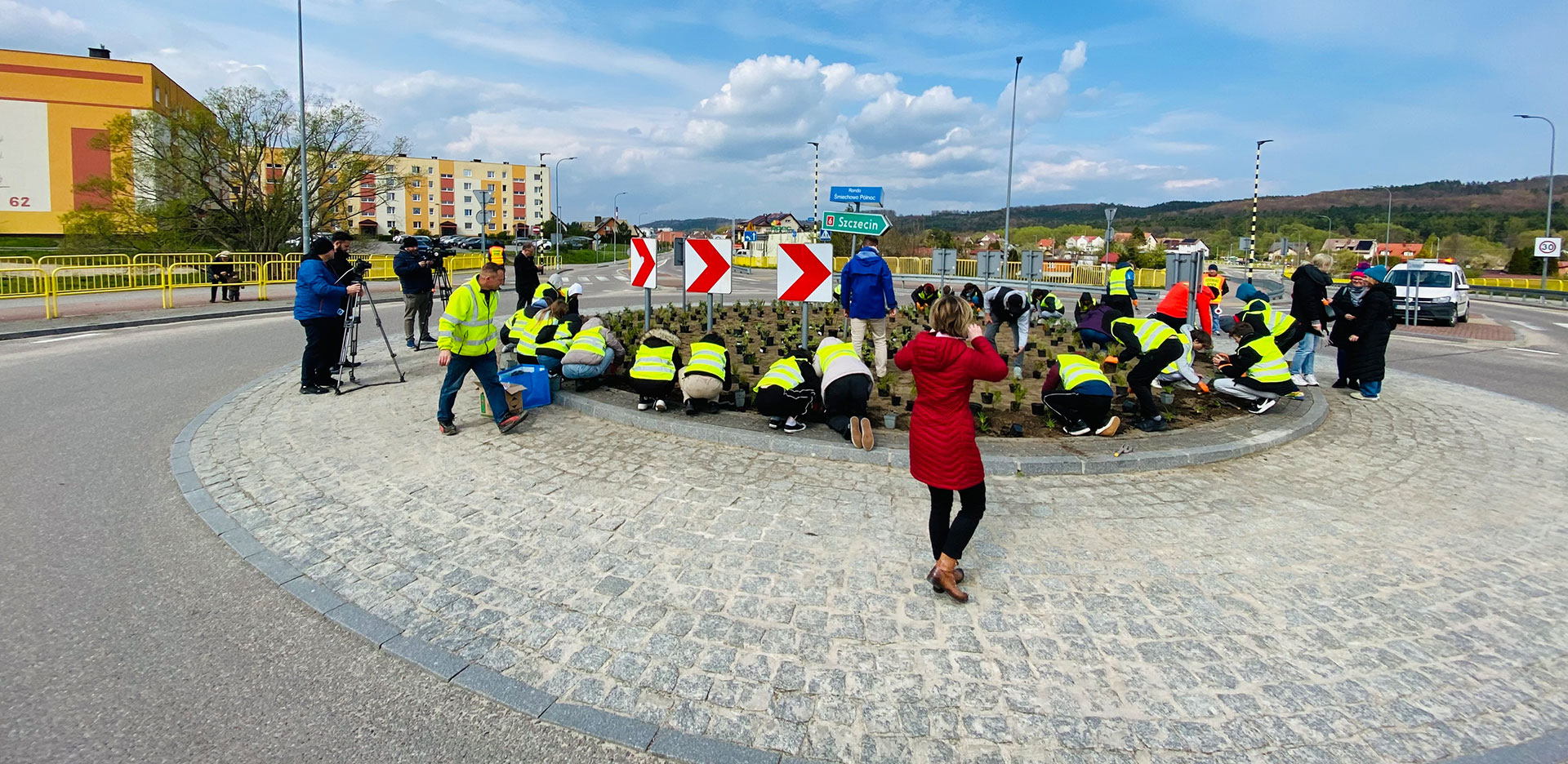 Zasadziliśmy rośliny miododajne na wejherowskim rondzie